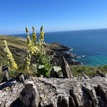 Pilchards Cottage Noss Mayo Esterno foto