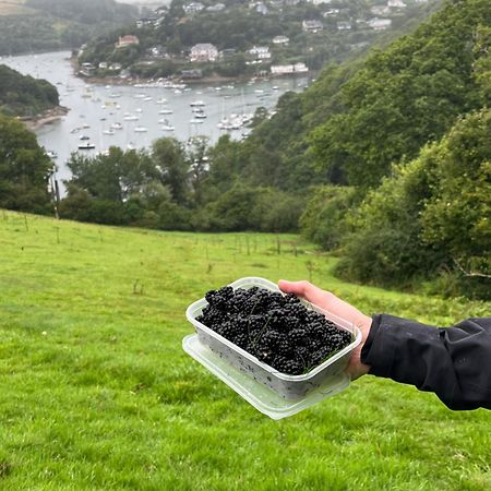 Pilchards Cottage Noss Mayo Esterno foto