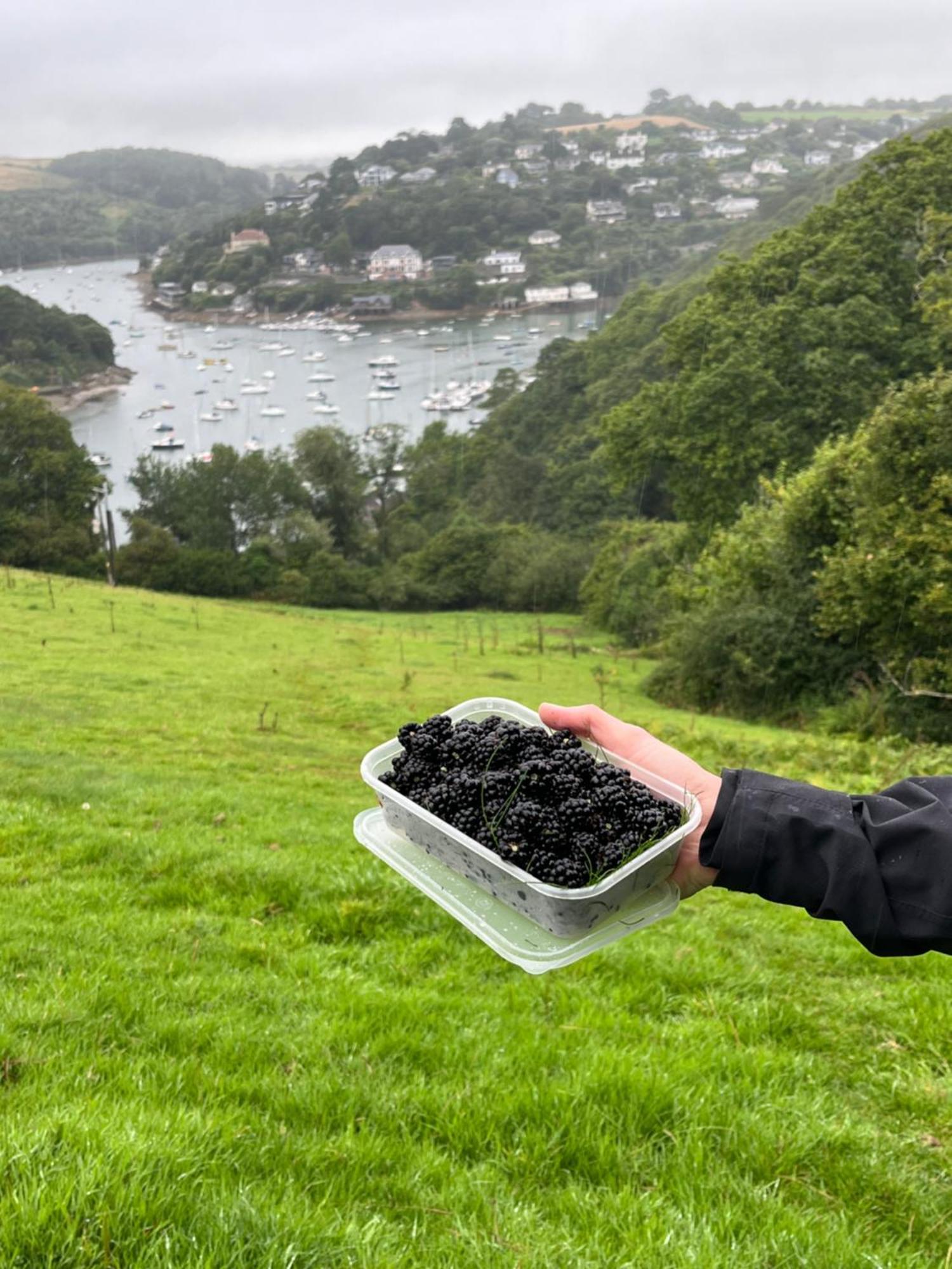 Pilchards Cottage Noss Mayo Esterno foto